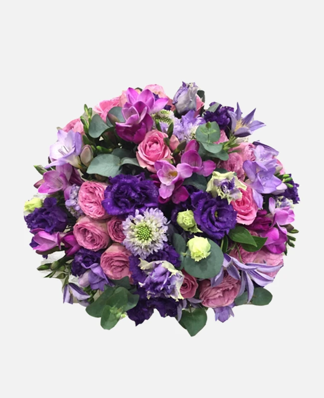 product card image