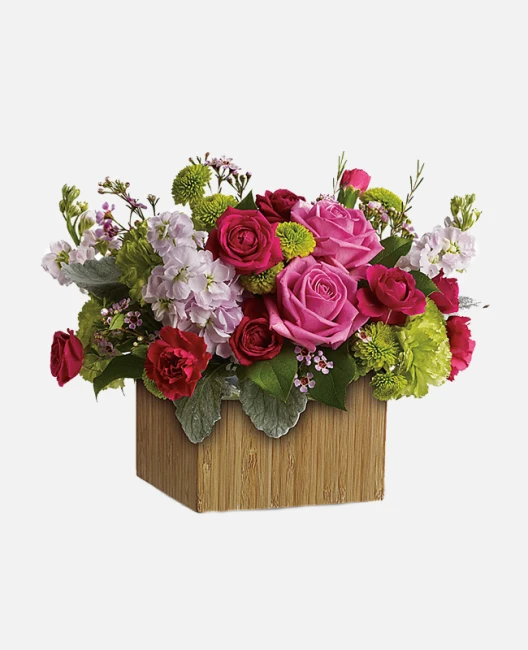 product card image